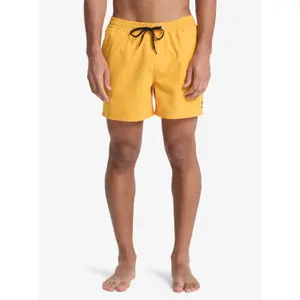 Surf shorts Quiksilver Everyday Volley 15" image-1