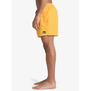 Surf shorts Quiksilver Everyday Volley 15" image-5