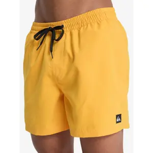 Surf shorts Quiksilver Everyday Volley 15" image-6