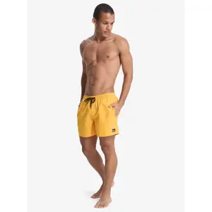 Surf shorts Quiksilver Everyday Volley 15" image-2