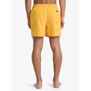 Surf shorts Quiksilver Everyday Volley 15" image-4