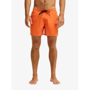 Boardshorts Quiksilver Everyday Volley 15" image-1