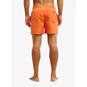 Boardshorts Quiksilver Everyday Volley 15" image-6