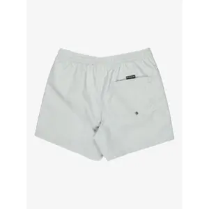 Shorts da surf Quiksilver Everyday Volley 15" image-5