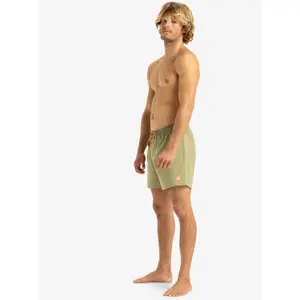 Surf shorts Quiksilver Everyday Volley 15" image-5