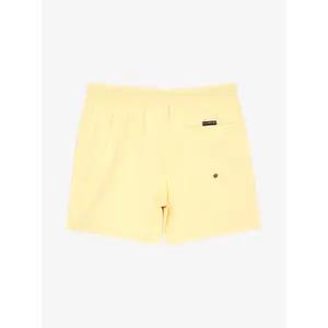 Surf shorts Quiksilver Everyday Volley 15" image-3