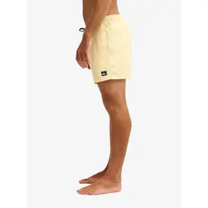 Surf shorts Quiksilver Everyday Volley 15" image-5