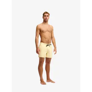 Surf shorts Quiksilver Everyday Volley 15" image-2