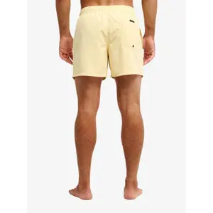 Surf shorts Quiksilver Everyday Volley 15" image-4