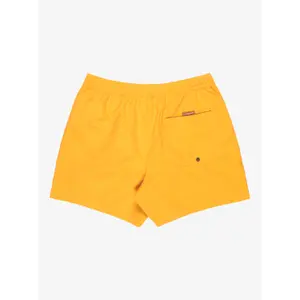 Surf shorts Quiksilver Everyday Volley 15" image-1
