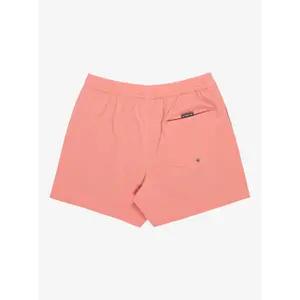 Σορτς σέρφινγκ Quiksilver Everyday Flex Volley 15" image-5