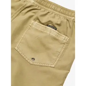 Σορτς σέρφινγκ Quiksilver Everyday Surfwash Volley 15" image-3