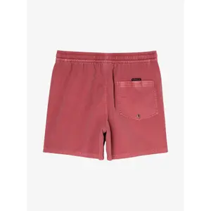 Σορτς σέρφινγκ Quiksilver Everyday Surfwash Volley 15" image-2