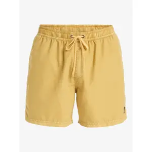 Μαγιό σορτς Quiksilver Everyday Surfwash Volley (15") image-1