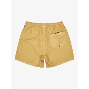 Μαγιό σορτς Quiksilver Everyday Surfwash Volley (15") image-4