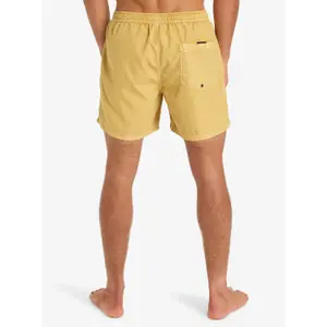 Μαγιό σορτς Quiksilver Everyday Surfwash Volley (15") image-5