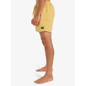 Μαγιό σορτς Quiksilver Everyday Surfwash Volley (15") image-6