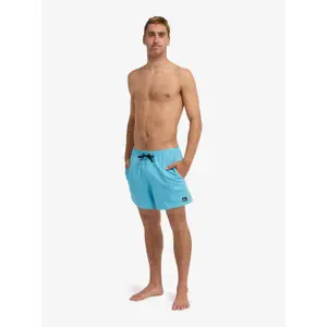 Board shorts Quiksilver Stretch Piped image-2