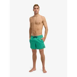 Shorts da surf Quiksilver Stretch Printed image-3