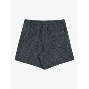 Board shorts Quiksilver Stretch Printed image-6