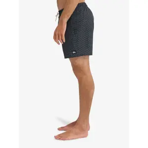 Board shorts Quiksilver Stretch Printed image-5
