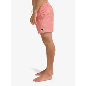 Shorts da surf Quiksilver Stretch Printed image-5