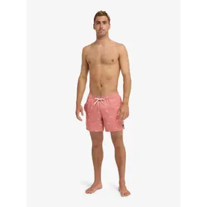Shorts da surf Quiksilver Stretch Printed image-2