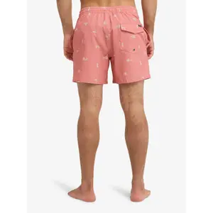 Shorts da surf Quiksilver Stretch Printed image-4