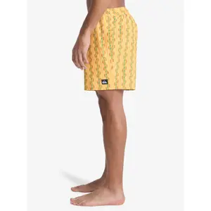 Board shorts Quiksilver Stretch Printed image-5