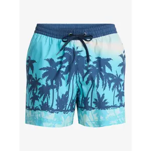 Σορτς σέρφινγκ Quiksilver Everyday Printed Volley 15 image-0