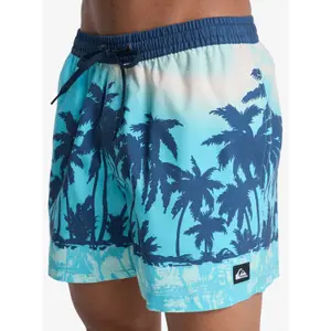 Σορτς σέρφινγκ Quiksilver Everyday Printed Volley 15 image-3