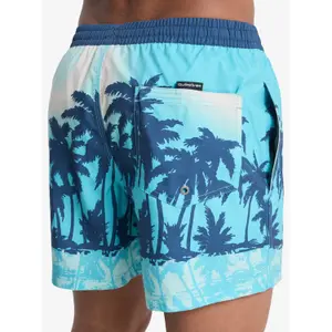 Σορτς σέρφινγκ Quiksilver Everyday Printed Volley 15 image-5