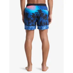 Board shorts Quiksilver Everyday Printed Volley 15 image-6