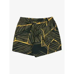 Board shorts Quiksilver Everyday Printed Volley 15 image-5