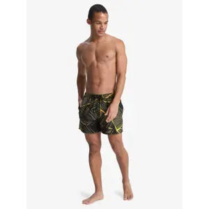 Board shorts Quiksilver Everyday Printed Volley 15 image-2