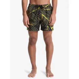 Board shorts Quiksilver Everyday Printed Volley 15 image-1