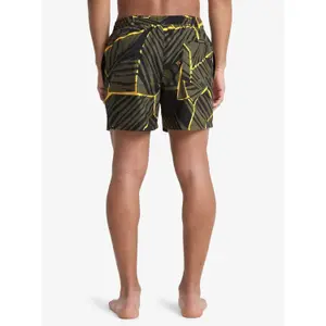 Board shorts Quiksilver Everyday Printed Volley 15 image-6
