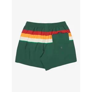 Board shorts Quiksilver Everyday Printed Volley 15 image-5