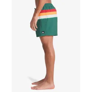 Board shorts Quiksilver Everyday Printed Volley 15 image-4