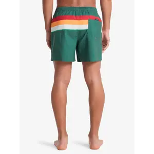 Board shorts Quiksilver Everyday Printed Volley 15 image-6