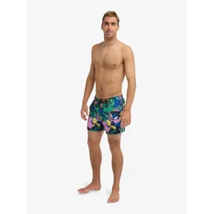 Board shorts Quiksilver Everyday Printed Volley 15 image-2