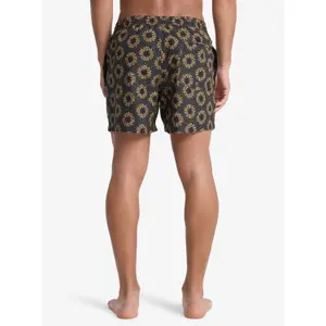 Σορτς σέρφινγκ Quiksilver Everyday Printed Volley 15 image-4