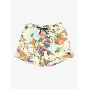 Board shorts Quiksilver Everyday Printed Volley 15 image-0