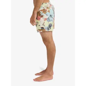 Board shorts Quiksilver Everyday Printed Volley 15 image-5