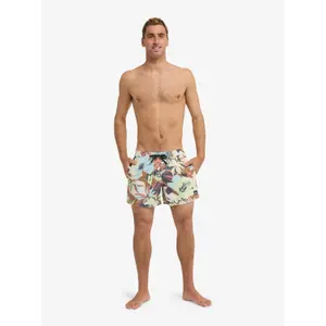Board shorts Quiksilver Everyday Printed Volley 15 image-2