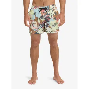 Board shorts Quiksilver Everyday Printed Volley 15 image-1