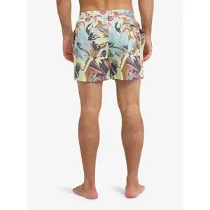 Board shorts Quiksilver Everyday Printed Volley 15 image-4