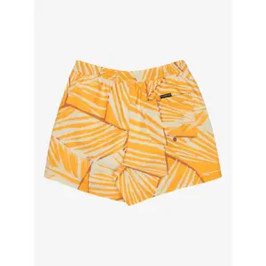 Board shorts Quiksilver Everyday Printed Volley 15 image-4