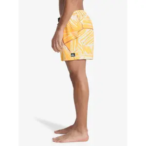Board shorts Quiksilver Everyday Printed Volley 15 image-3
