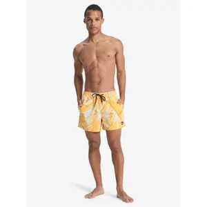 Board shorts Quiksilver Everyday Printed Volley 15 image-1